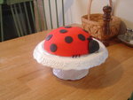 Brian's shed project, a ladybug cake and of course, the girls!